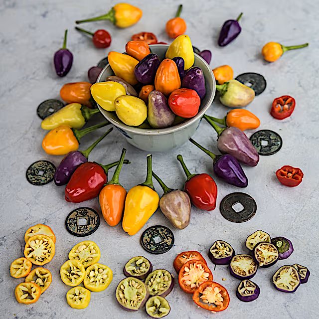 Chinese 5 Color peppers in a bowl with sliced fruit