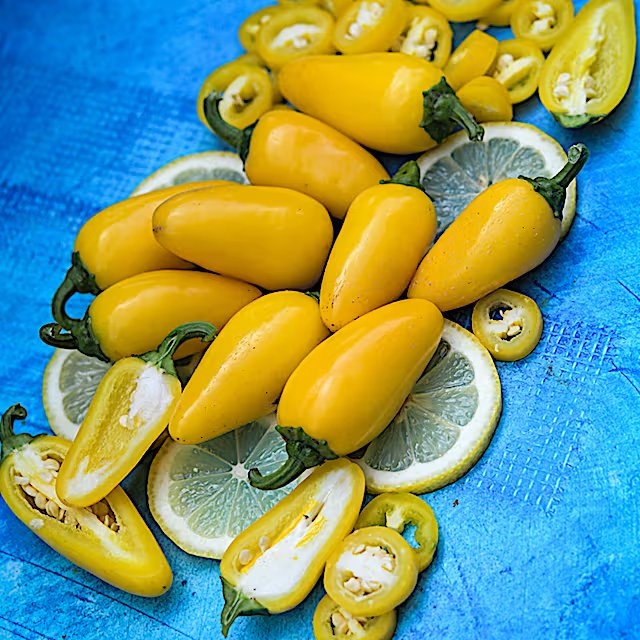 Lemon Spice jalapeños arranged with lemon slices
